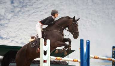 Horseback Activities