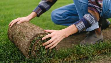 Landscape Maintenance