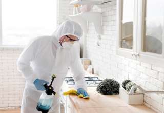 Pest Control Company