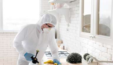 Pest Control Company