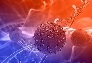 Nanoparticles in Medicine