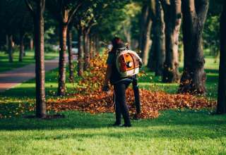 Garden Management